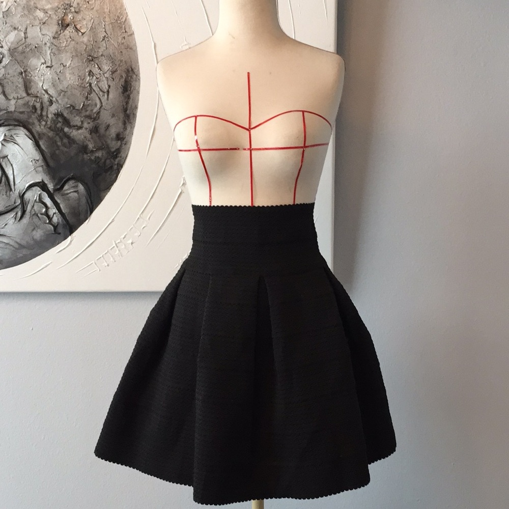 H&M High Waisted Pleated Skirt